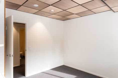 Photo of property in Te Kainga Te Aka, 203 Willis Street, Te Aro, Wellington, 6011