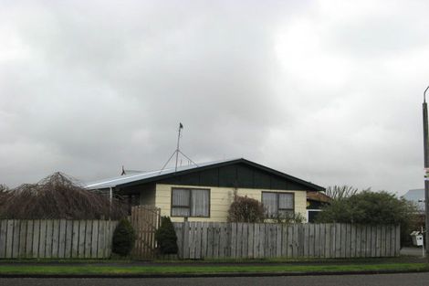 Photo of property in 39 Green Avenue, Levin, 5510