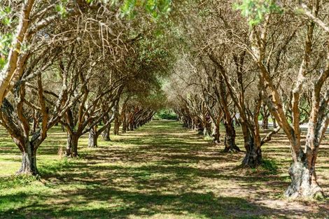 Photo of property in 277 Upper Plain Road, Upper Plain, Masterton, 5888