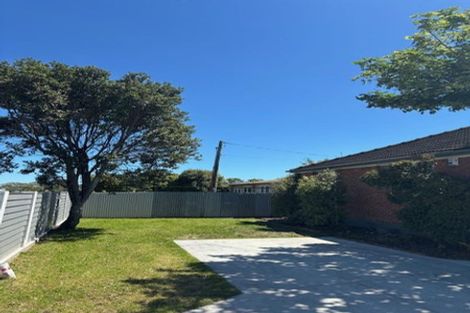 Photo of property in 115 Limbrick Street, Terrace End, Palmerston North, 4410