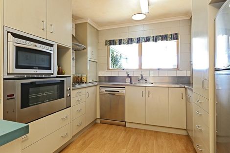 Photo of property in 500 Poplar Place, Akina, Hastings, 4122