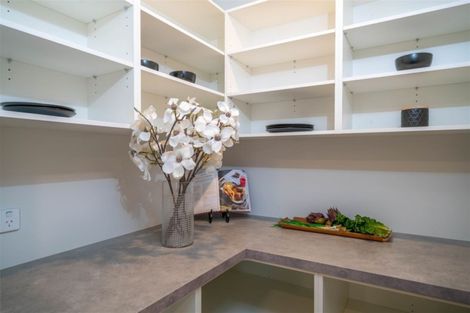 Photo of property in 100 Ledbury Drive, Rolleston, 7615