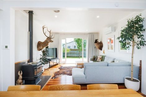 Photo of property in 143 Oxford Street, Ashhurst, 4810