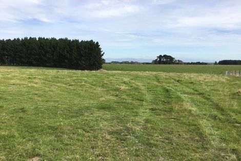 Photo of property in 172 Stewart Road, Feilding, 4479