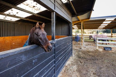 Photo of property in 102 No 1 Line, Westbrook, Palmerston North, 4475
