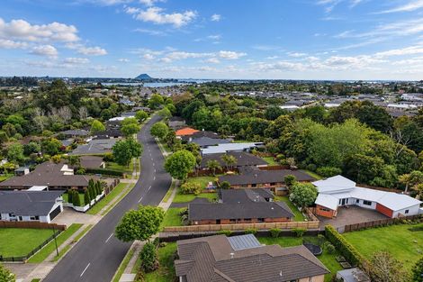 Photo of property in 119 Hollister Lane, Ohauiti, Tauranga, 3112