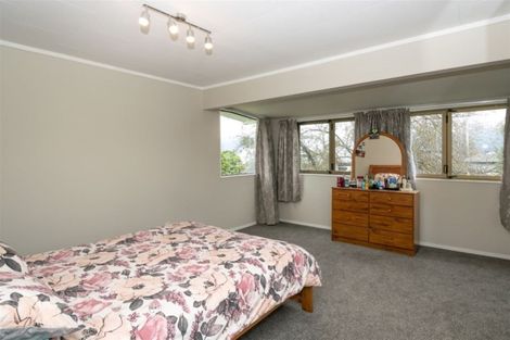 Photo of property in 29 Clyde Street, Renwick, 7204