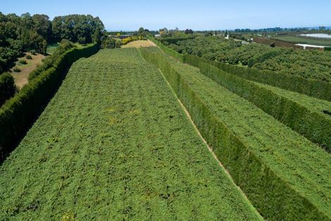 Photo of property in 215 Ongare Point Road, Tahawai, 3170