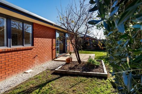 Photo of property in 8 Tereice Street, Witherlea, Blenheim, 7201