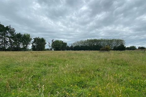 Photo of property in 156 Kawakawa Road, Feilding, 4775