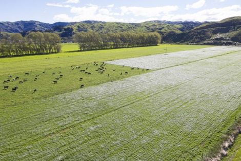 Photo of property in 330 Mahanga Road, Mahia, Nuhaka, 4198