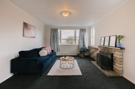 Photo of property in 25 Mokau Place, Terrace End, Palmerston North, 4410