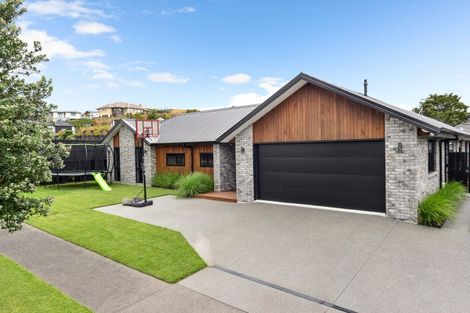 Photo of property in 17 Riverpoint Glade, Flagstaff, Hamilton, 3210