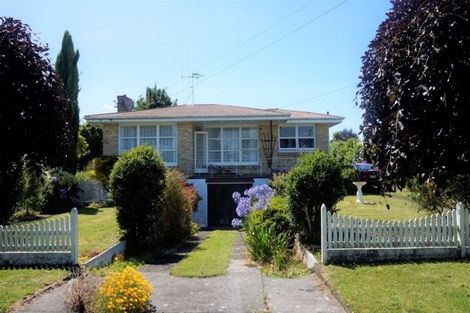 Photo of property in 46 Marchant Street, Putaruru, 3411