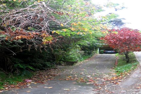 Photo of property in 17 Bird Grove, Stokes Valley, Lower Hutt, 5019