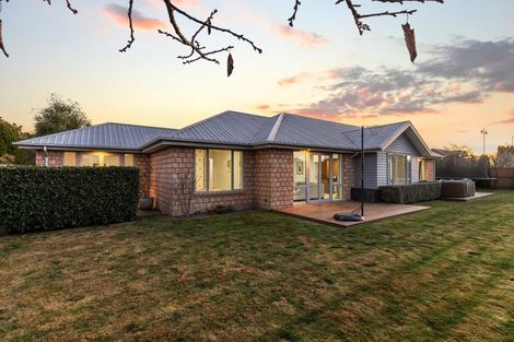 Photo of property in 59 Longspur Avenue, Wigram, Christchurch, 8025