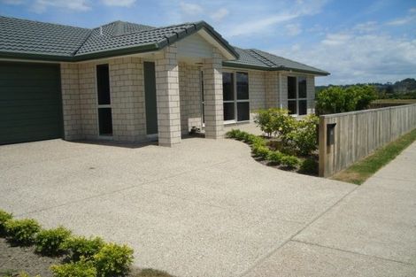 Photo of property in 15 North Bay Road, Pyes Pa, Tauranga, 3112