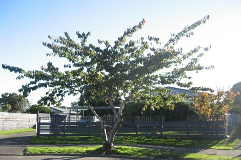 Photo of property in 25 Fairlight Place, Manurewa, Auckland, 2102