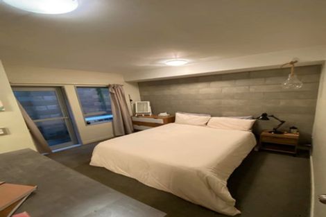 Photo of property in 3uh Papawai Terrace, Mount Cook, Wellington, 6021