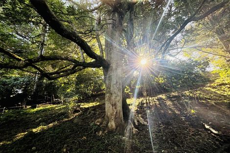 Photo of property in 68 Waitaheke Road, Ohaeawai, Kaikohe, 0472