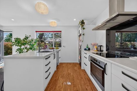 Photo of property in 44a Birdwood Avenue, Beckenham, Christchurch, 8023