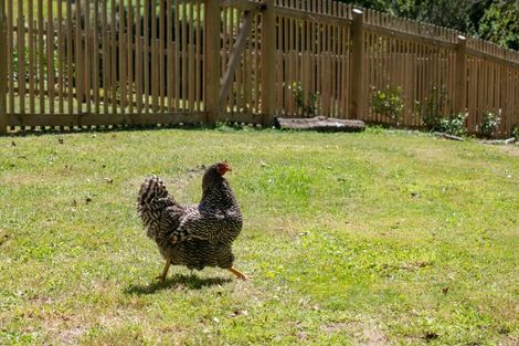 Photo of property in 202 Ngamotu Road, Rerewhakaaitu, Rotorua, 3073