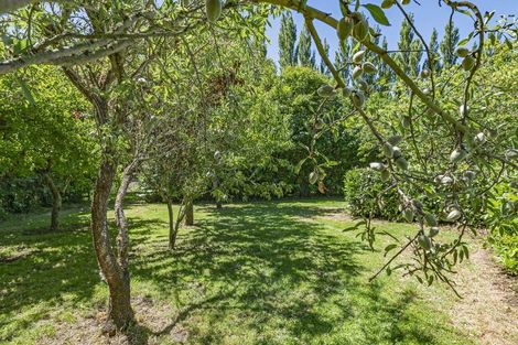 Photo of property in 187 Tancreds Road, Lincoln, Christchurch, 7672