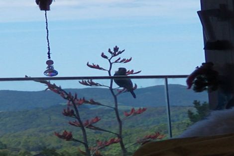 Photo of property in 100 Ormiston Road, Springfield, Whangarei, 0178