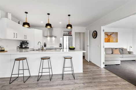 Photo of property in 113 John Burke Drive, Aotea, Porirua, 5024