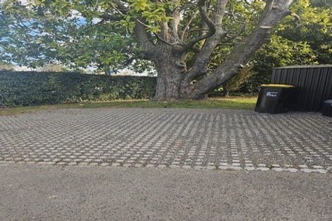 Photo of property in 14 Hamilton Road, Cambridge, 3434