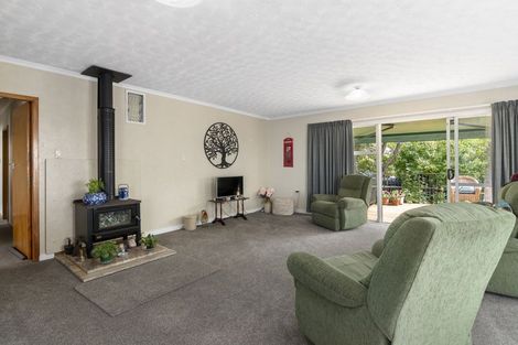 Photo of property in 19 Alfred Sheat Street, Richmond, 7020