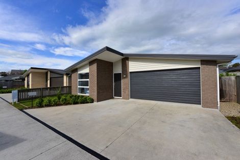 Photo of property in 29 Benjamin Avenue, Rototuna North, Hamilton, 3210