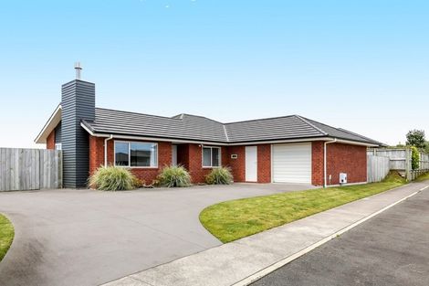 Photo of property in 14 Ryder Drive, Waiwhakaiho, New Plymouth, 4312