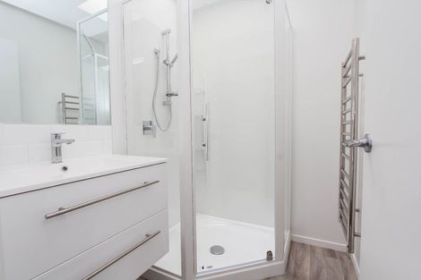 Photo of property in 411 Peachgrove Road, Fairfield, Hamilton, 3214