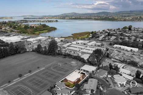 Photo of property in 64 Twentysecond Avenue, Gate Pa, Tauranga, 3112