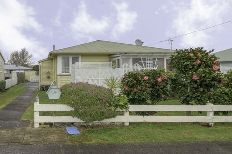 Photo of property in 19 Bracken Avenue, Te Aroha, 3320