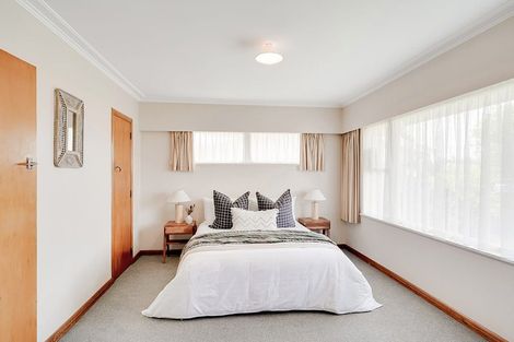 Photo of property in 19 Scott Avenue, Hamilton East, Hamilton, 3216