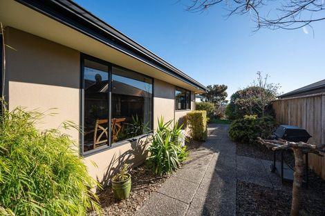 Photo of property in 55 Otia Drive, Richmond, 7020