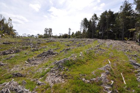 Photo of property in 551 Krippner Road, Puhoi, Silverdale, 0994