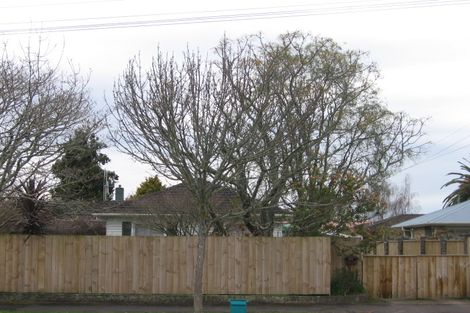 Photo of property in 30 Cunningham Road, Beerescourt, Hamilton, 3200