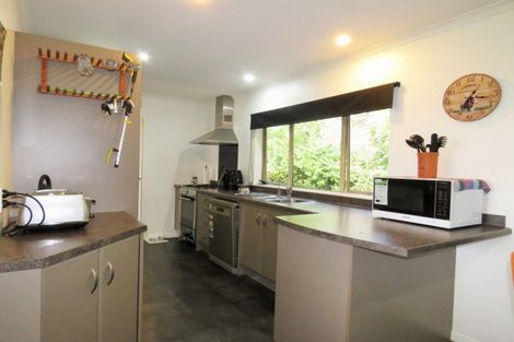 Photo of property in 91 Buckley Road, Shannon, Palmerston North, 4474