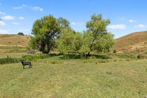 Photo of property in 1899b State Highway 23, Whatawhata, Hamilton, 3293