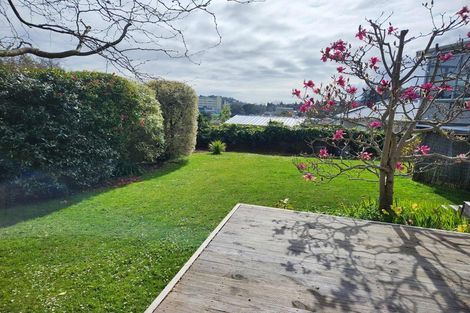 Photo of property in 38 Campbell Street, Nelson South, Nelson, 7010