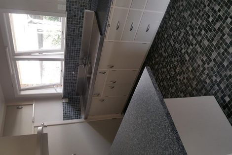 Photo of property in 17 Walker Terrace, Dinsdale, Hamilton, 3204