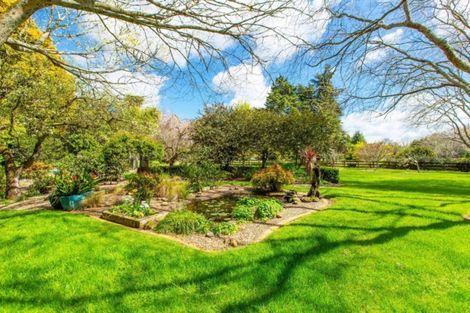 Photo of property in 11 Blue Heron Place, Tamahere, Hamilton, 3283