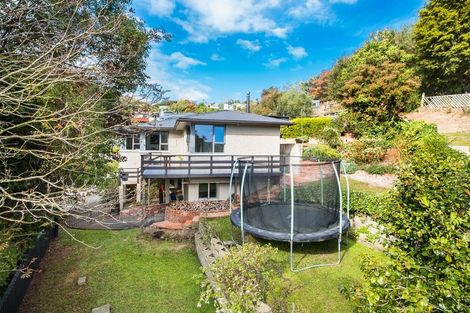 Photo of property in 12 Every Street, Andersons Bay, Dunedin, 9013