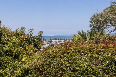 Photo of property in 19 Guys Hill Road, Hospital Hill, Napier, 4110