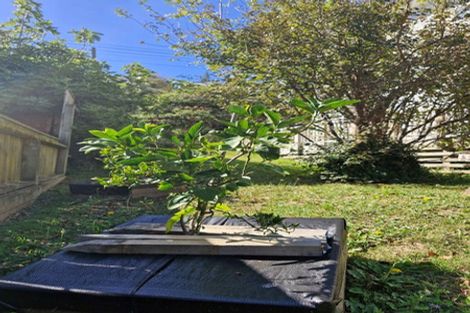 Photo of property in 88b Townsend Road, Miramar, Wellington, 6022