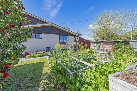 Photo of property in 29 Pultney Street, Leeston, 7632