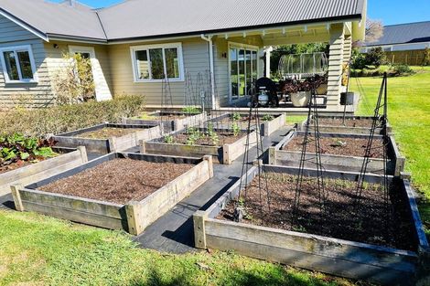 Photo of property in 51 Bradley Avenue, Pyes Pa, Tauranga, 3112